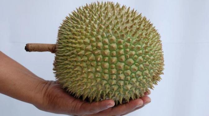 Tips Memilih Buah Durian Yang Bagus Dan Nikmat Fokus Jabar