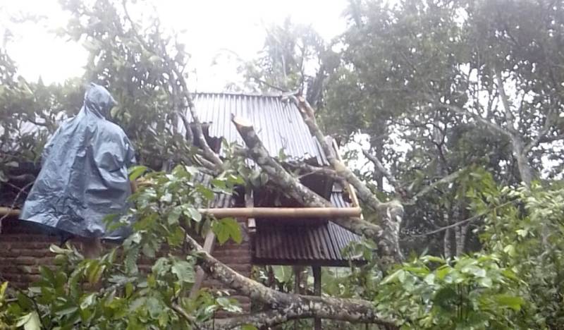 petugas berusaha mengevakuasi pohon tumbang yang menimpa rumah warga (foto Husen)