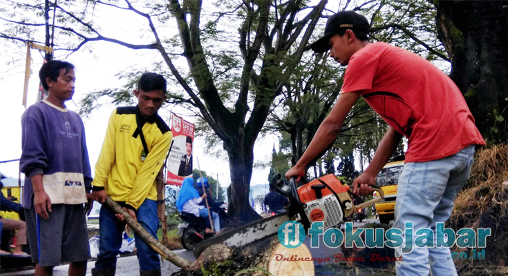 petugas tengah memotong batang pohon yang tumbang dan menimpa pengendara di Lembang (foto Nunu)