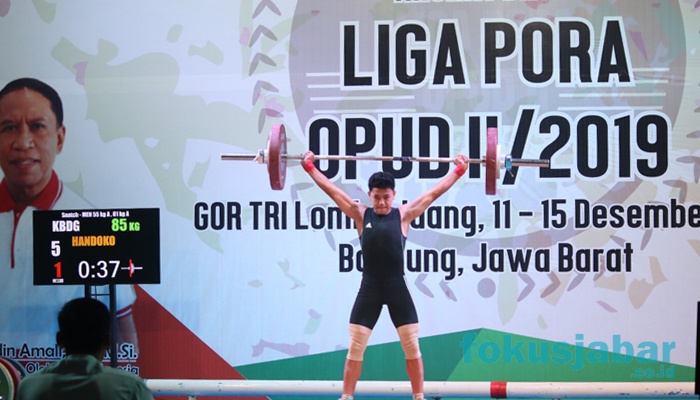 Liga Pora