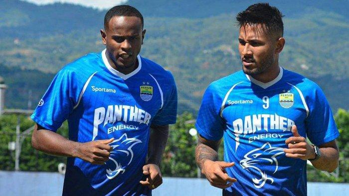 persib