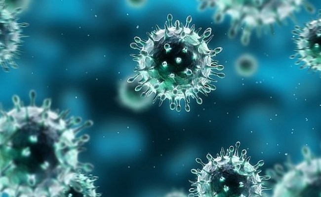Virus dan Bakteri
