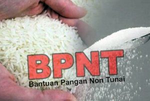 bpnt fokusjabar.id