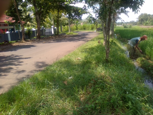 Tempat Mesum