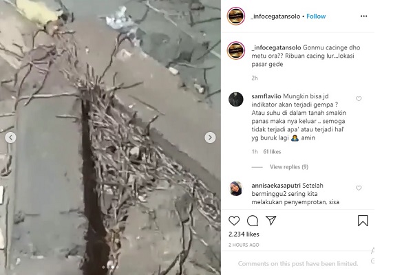Viral! Ratusan Cacing Tanah Muncul di Pasar Gede Solo
