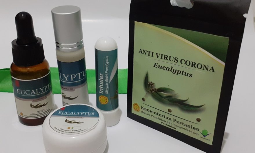 Berhasil Diujicoba, Produk Eucalyptus Mampu Tangkal Virus Corona