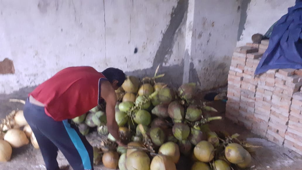 kelapa bakar fokusjabar.id