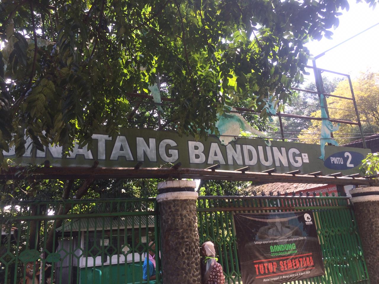 Ratusan Hewan Kebun Binatang Bandung Kelaparan