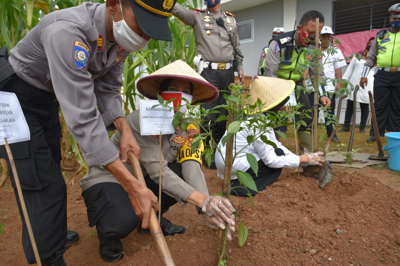 FOKUSJabar.id panen jagung