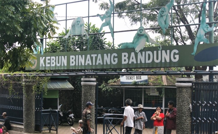 kebun binatang bandung fokusjabar.id