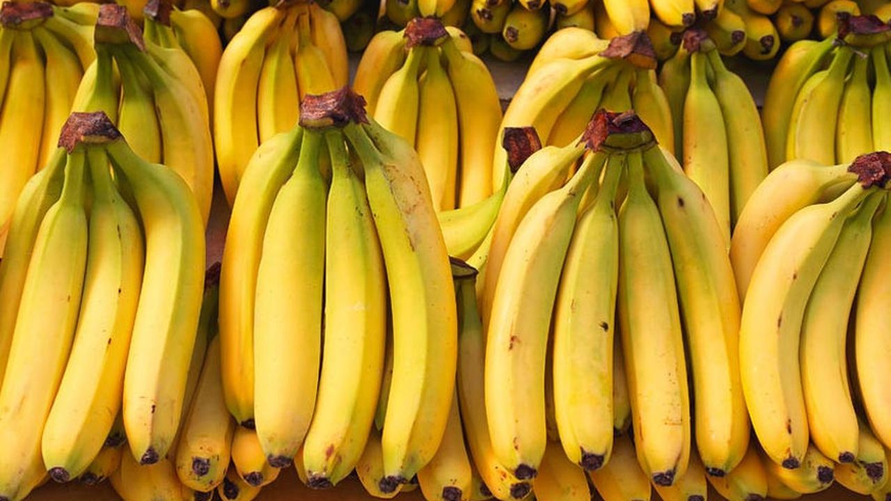d d
