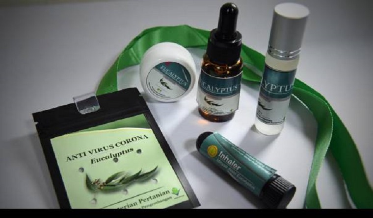 FOKUSJabar.id Eucalyptus