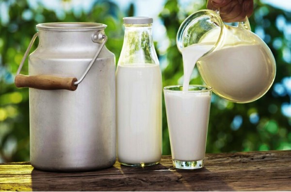 Penelitian: Minum Susu Mentah bisa Sebabkan Penyakit