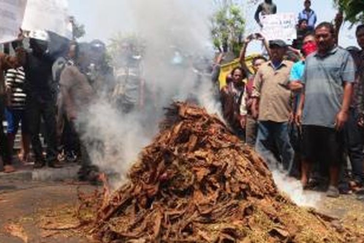 Soal Peraturan Impor, Ribuan Petani Tembakau akan Demo di Jakarta