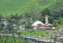 fokusjabar.id rapid test puncak bogor