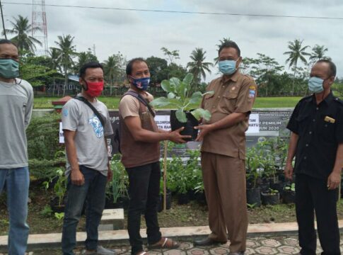 kelompok tani fokusjabar.id