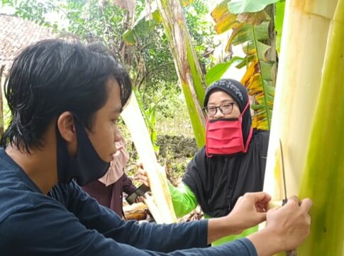 kwt dahlia fokusjabar.id