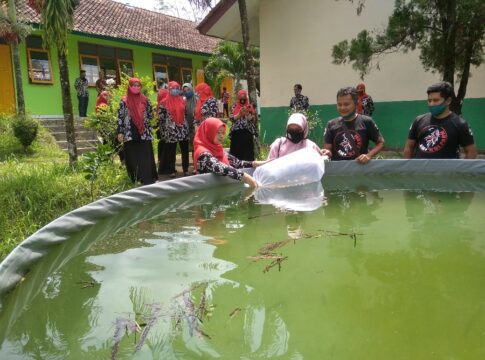 fokusjabar.id disnakan ciamis