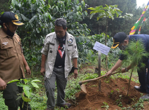 Ciamis fokusjabar.id