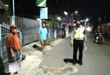 FOKUSJabar.id Bocah