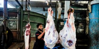 FOKUSJabar.id Harga Daging Sapi