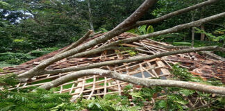 Ciamis fokusjabar