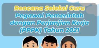 cpns fokusjabar.id