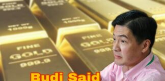budi said