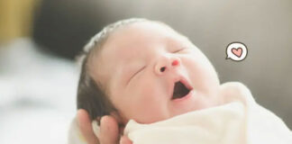 antibodi bayi