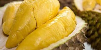 buah durian
