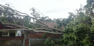 fokusjabar.id angin puting beliung