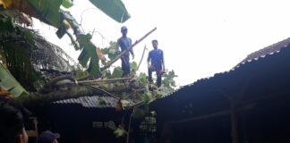 ciamis fokusjabar.id