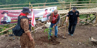 Ciamis fokusjabar.id