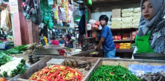 FOKUSJabar.id harga Cabai Rawit Domba