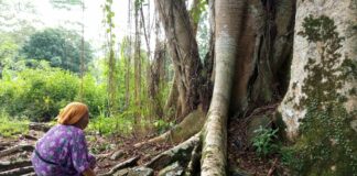 keraton fokusjabar.id