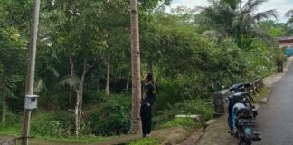 situng jangraga fokusjabar.id