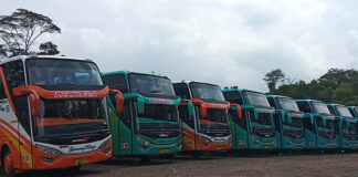 izin mudik fokusjabar