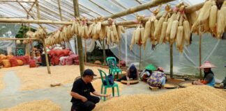 rudy gunawan fokusjabar.id