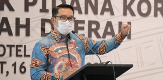 all england fokusjabar