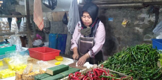 harga cabai fokusjabar