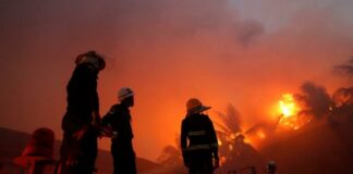 balongan fokusjabar.id