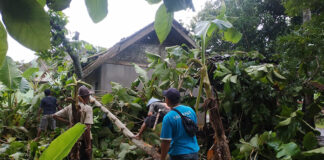 Ciamis fokusjabar
