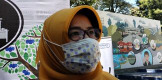 fokusjabar.id akar pohon kota bandung