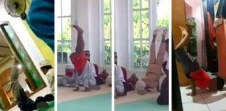 freestyle