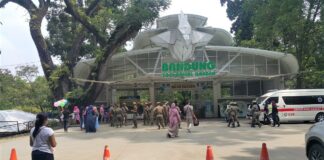 fokusjabar.id bazoog kebun binatang