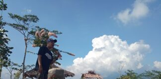 puncak pispun fokusjabar.id