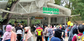 kebun binatang