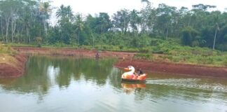FOKUSJabar.id Ciamis