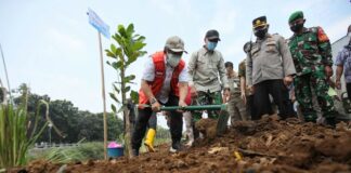 fokusjabar.id pemkot bandung penanaman pohon