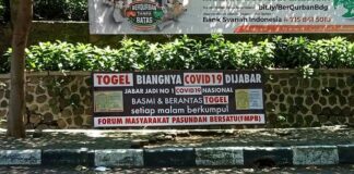 Togel